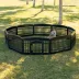 IRIS, Exercise 10-Panel Pet Playpen with Door, Dog Plastic Exercise Pen image thumbnail 5