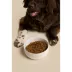 Waggo Cling Non Skid Dog Bowl image thumbnail 3