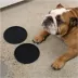 Waggo Habit Circle Silicone Dog Placemats image thumbnail 2