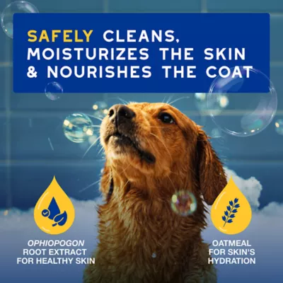 Product Douxo® Skin & Coat SPA Oatmeal Shampoo, 16.9 oz