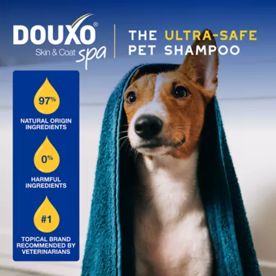 Product Douxo® Skin & Coat SPA Oatmeal Shampoo, 16.9 oz