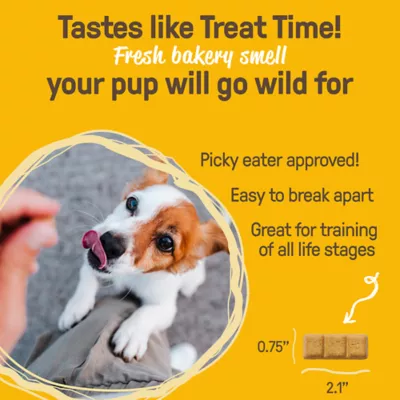 Product Cookie Pal Peanut Butter Biscuit Dog Treat 10 OZ