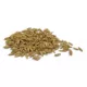 Product Smartykat Sweet Greens Grow Kit