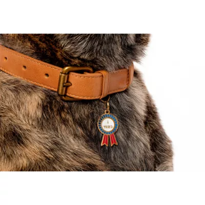 Product Two Tails Pet Company 'I Tried' Pet ID Tag
