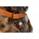 Product Two Tails Pet Company 'I Tried' Pet ID Tag