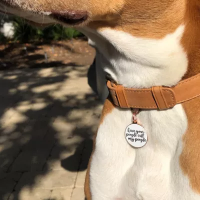 Product Two Tails Pet Company 'Have Your People Call My People' Pet ID Tag