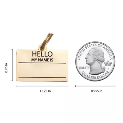 Product Two Tails Pet Company 'Hello My Name Is' Pet ID Tag