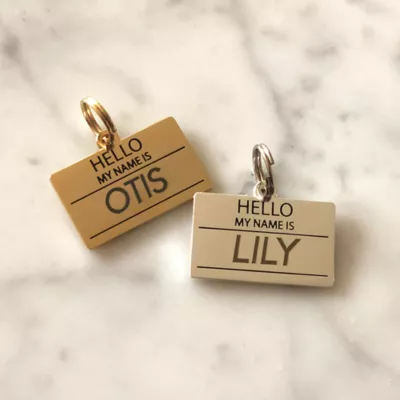 Product Two Tails Pet Company 'Hello My Name Is' Pet ID Tag