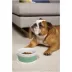 Waggo Habit Circle Silicone Dog Placemats image thumbnail 7
