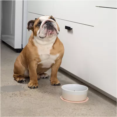 Product Waggo Habit Circle Silicone Dog Placemats