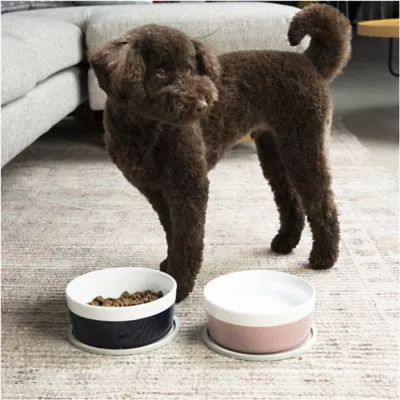 Product Waggo Habit Circle Silicone Dog Placemats