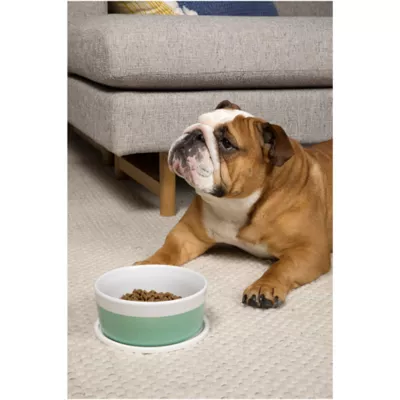 Product Waggo Habit Circle Silicone Dog Placemats