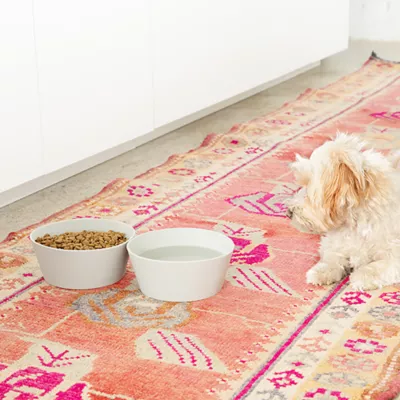 Waggo Habit Silicone Flexible Bowl - Image 3