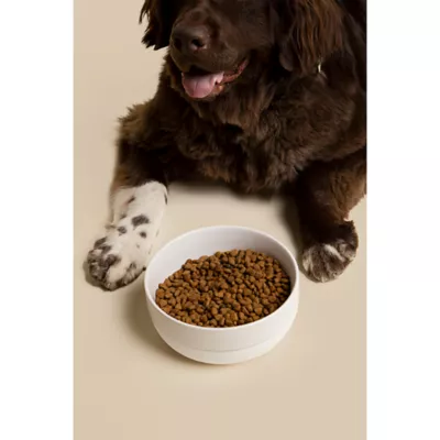 Product Waggo Cling Non Skid Dog Bowl