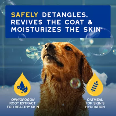 Product Douxo® Skin & Coat SPA Oatmeal Conditioner, 16.9 oz