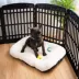 IRIS, Exercise 10-Panel Pet Playpen with Door image thumbnail 8