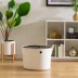 IRIS, Top Entry Cat Litter Box with Scoop - Stylish Round Enclosed Design, White & Black image thumbnail 3