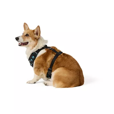 Product Top Paw® Patterned Harness