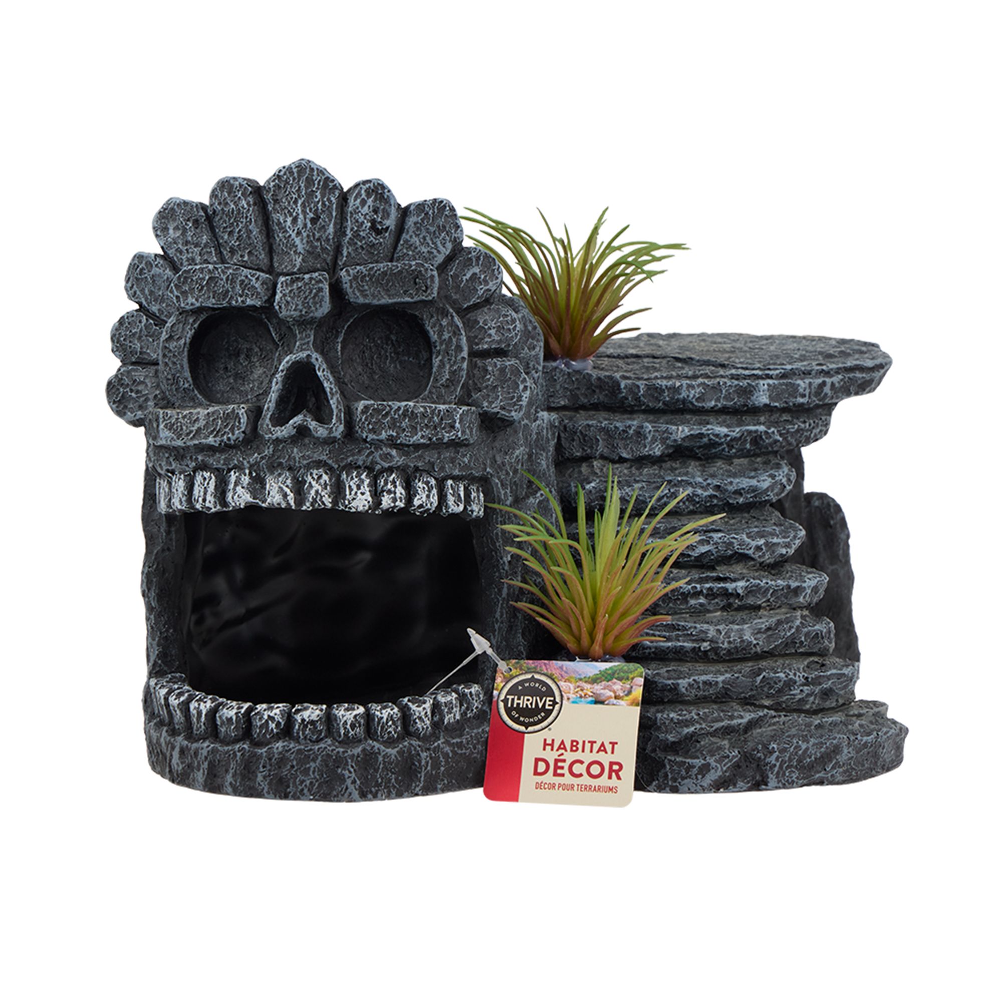 Thrive Skull Cave - Reptile Hide Decor - thumbnail 6