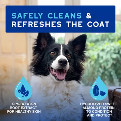 Product DOUXO® Skin & Coat SPA - Ultra-Safe Quick Refresh Leave-on Mousse for Dogs