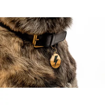 Two Tails Pet Company 'Lightning Bolt' Pet ID Tag - Image 3