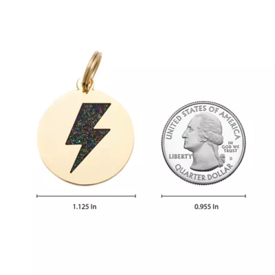 Two Tails Pet Company 'Lightning Bolt' Pet ID Tag - Image 5