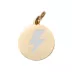 Two Tails Pet Company 'Lightning Bolt' Pet ID Tag image thumbnail 1