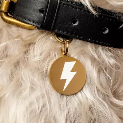 Product Two Tails Pet Company 'Lightning Bolt' Pet ID Tag