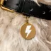 Two Tails Pet Company 'Lightning Bolt' Pet ID Tag image thumbnail 2