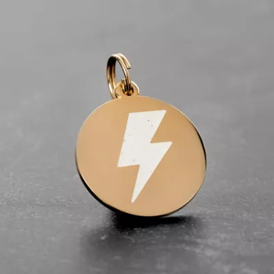 Product Two Tails Pet Company 'Lightning Bolt' Pet ID Tag