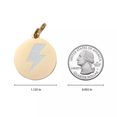 Product Two Tails Pet Company 'Lightning Bolt' Pet ID Tag