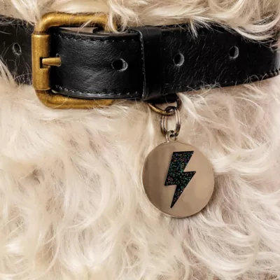 Product Two Tails Pet Company 'Lightning Bolt' Pet ID Tag