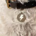 Two Tails Pet Company 'Lightning Bolt' Pet ID Tag image thumbnail 2