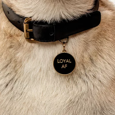 Product Two Tails Pet Company 'Loyal AF' Pet ID Tag