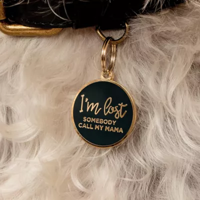 Product Two Tails Pet Company 'I'm Lost, Somebody Call My Mama' Pet ID Tag