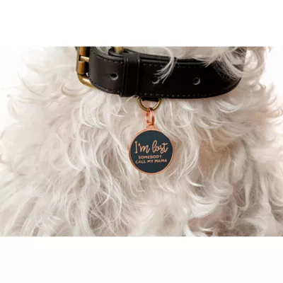 Product Two Tails Pet Company 'I'm Lost, Somebody Call My Mama' Pet ID Tag