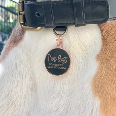 Product Two Tails Pet Company 'I'm Lost, Somebody Call My Mama' Pet ID Tag