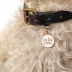 Two Tails Pet Company 'I'm Lost, Somebody Call My Mama' Pet ID Tag image thumbnail 2