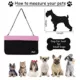 Product Jespet Booster Dog Car Seat