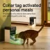 PETLIBRO RFID Wifi App Controlled Automatic Pet Feeder image thumbnail 4