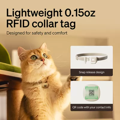 Product PETLIBRO One RFID Pet Feeder Bundle