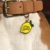 Two Tails Pet Company 'Main Squeeze' Pet ID Tag image thumbnail 2