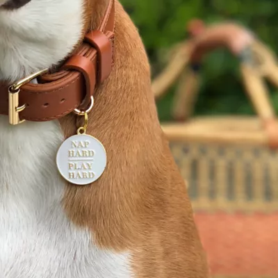 Product Two Tails Pet Company 'Nap Hard, Play Hard' Pet ID Tag