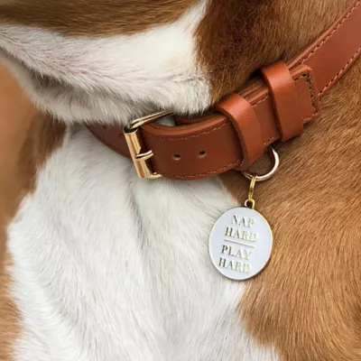 Product Two Tails Pet Company 'Nap Hard, Play Hard' Pet ID Tag