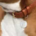 Two Tails Pet Company 'Nap Hard, Play Hard' Pet ID Tag image thumbnail 3