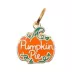 Two Tails Pet Company Pumpkin Pie Pet ID Tag image thumbnail 1