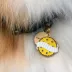 Two Tails Pet Company 'Pupperoni' Pet ID Tag image thumbnail 3
