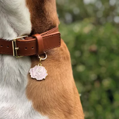 Two Tails Pet Company Rose Pet ID Tag - Image 2