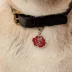 Two Tails Pet Company Rose Pet ID Tag image thumbnail 2
