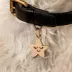 Two Tails Pet Company Smiling Star Pet ID Tag image thumbnail 2